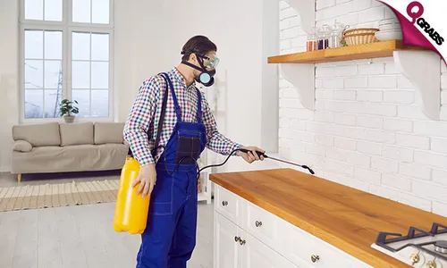 Pest Control Services!